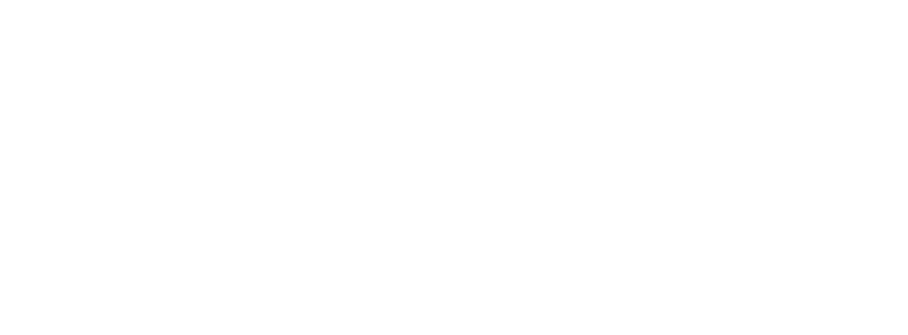 Max Young Chartered Professional Accountant